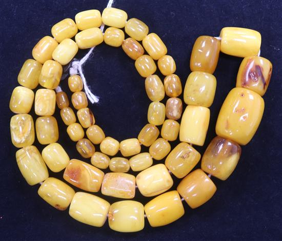 A single strand graduated barrel shaped amber bead necklace, 72cm.